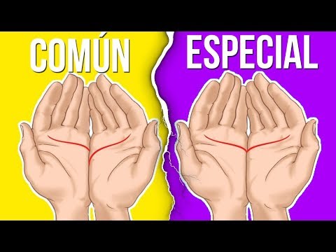 Descubre los fascinantes tipos de manos y su significado
