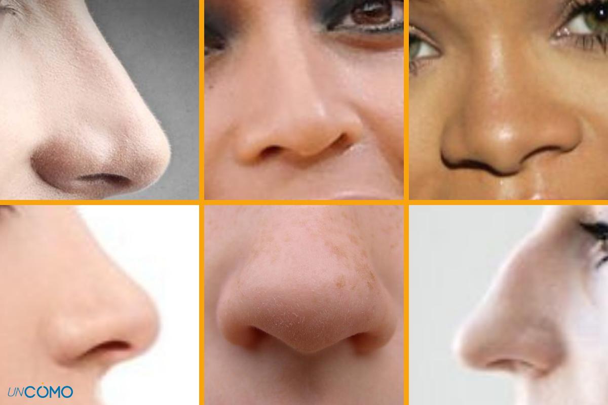 Descubre los 7 tipos de nariz y su significado estético