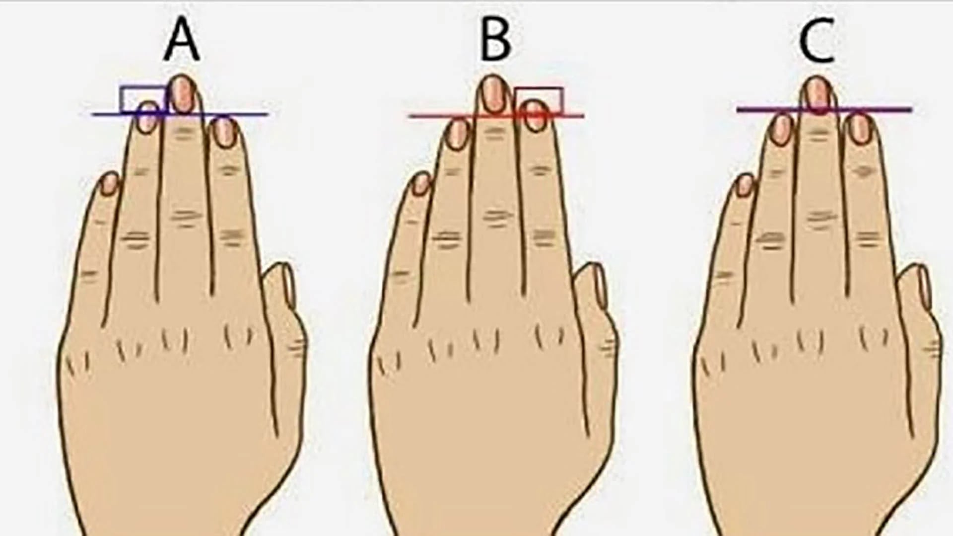 Descubre los fascinantes tipos de manos y su significado