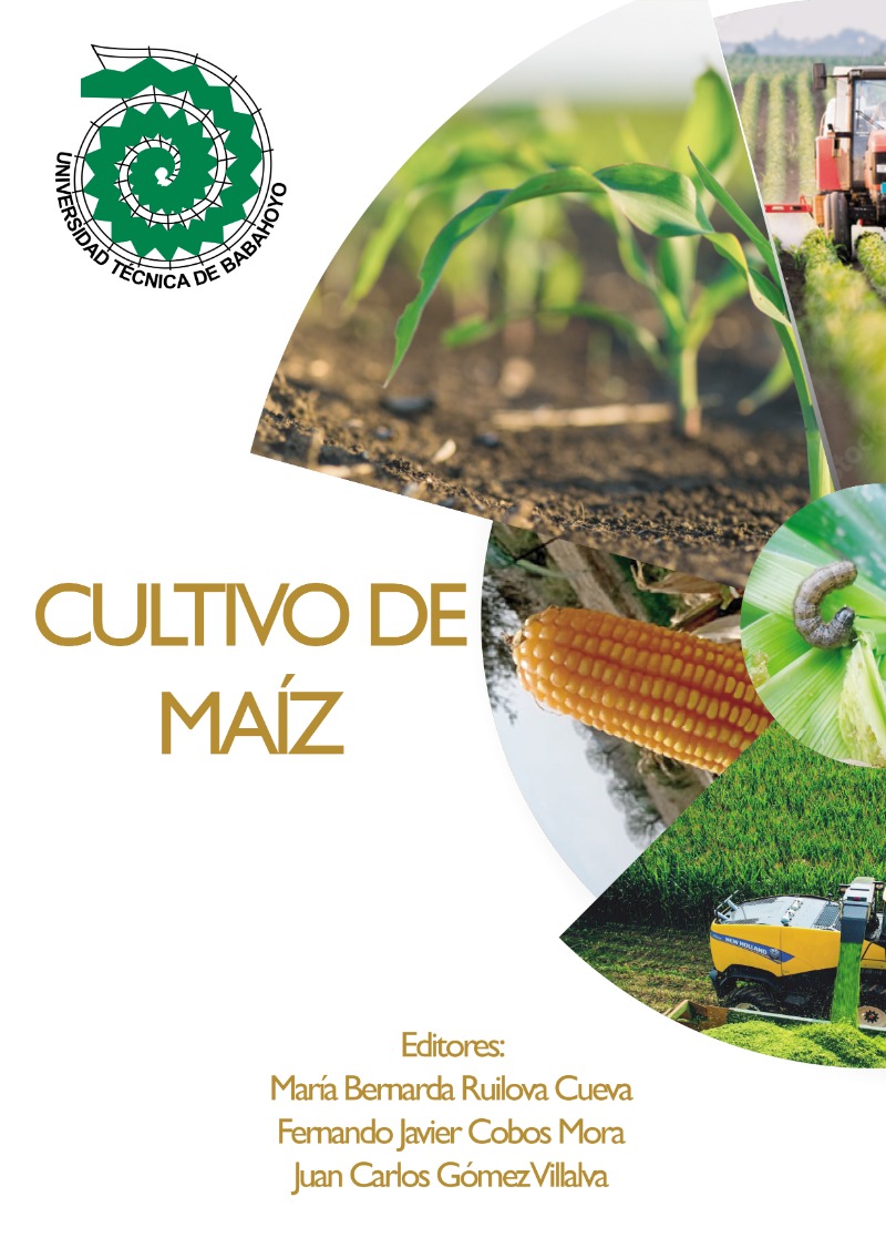 El arte de la siembra de maíz: consejos y técnicas para un cultivo exitoso
