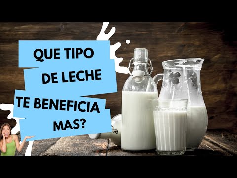 Descubre los diferentes tipos de leche y sus beneficios para tu salud
