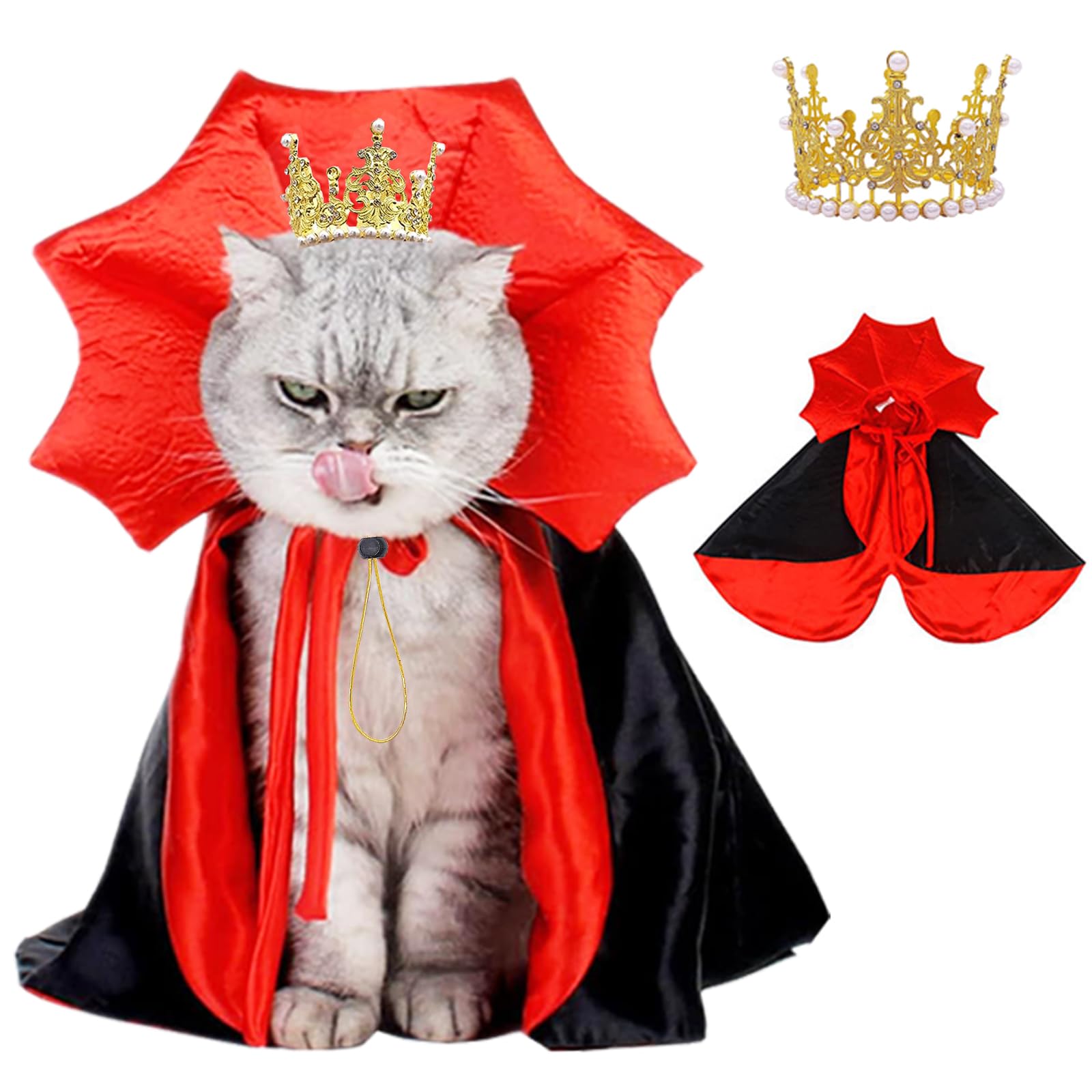 Los mejores disfraces de gato para lucir en Halloween